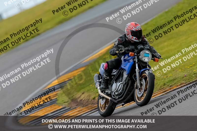 PJ Motorsport 2019;anglesey no limits trackday;anglesey photographs;anglesey trackday photographs;enduro digital images;event digital images;eventdigitalimages;no limits trackdays;peter wileman photography;racing digital images;trac mon;trackday digital images;trackday photos;ty croes